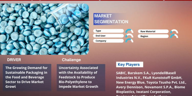 Global Bio-Polyethylene Market, Share, Trends, Demand, Growth   