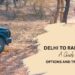 Your Delhi to Ranthambore Safari: A Comprehensive Travel Guide