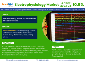 Electrophysiology Market Breakdown By Size, Share, Growth, Trends