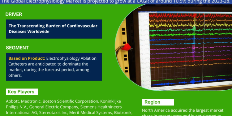 Electrophysiology Market Breakdown By Size, Share, Growth, Trends