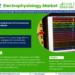 Electrophysiology Market Breakdown By Size, Share, Growth, Trends