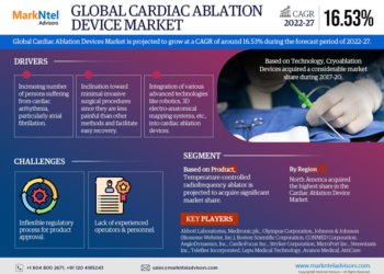 Cardiac Ablation Devices Market Breakdown By Size, Share, Growth, Trends, and Industry Analysis