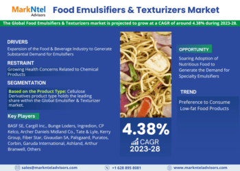 Food Emulsifiers & Texturizers Market Breakdown By Size, Share, Growth, Trends, and Industry Analysis