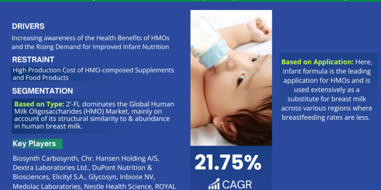 Human Milk Oligosaccharides (HMO) Market Breakdown By Size, Share, Growth, Trends, and Industry Analysis