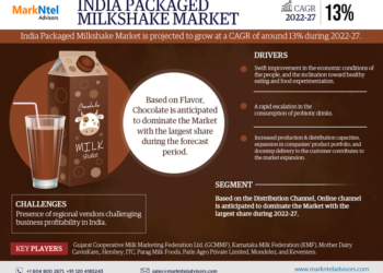 India Packaged Milkshake Market Breakdown By Size, Share, Growth, Trends, and Industry Analysis