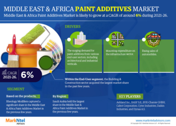 Middle East and Africa Paint Additives Breakdown By Size, Share, Growth