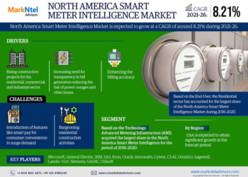 North America Smart Meter Intelligence Breakdown By Size, Share, Growth, Trends, and Industry Analysis