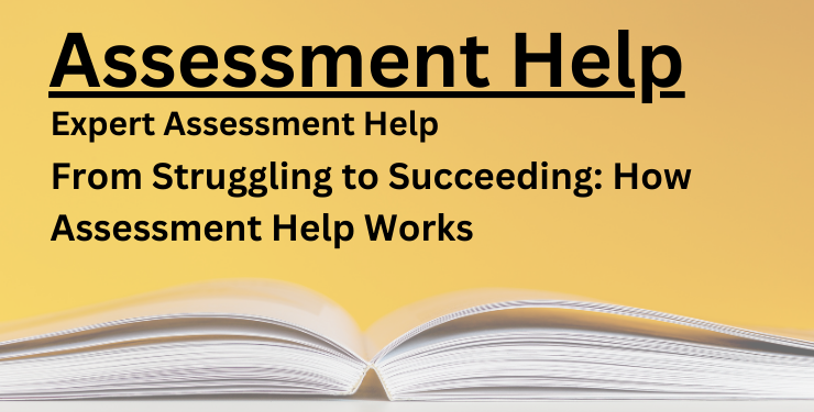 Assessment Help