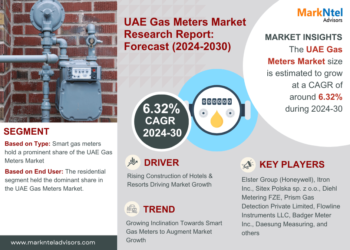 United Arab Emirates (UAE) Gas Meters Market Breakdown By Size, Share