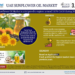 UAE Sunflower Oil Market Analysis 2027 – Unveiling Size, Share, Growth, Trends