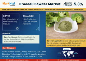 Broccoli Powder Market Breakdown By Size, Share, Growth, Trends, and Industry Analysis