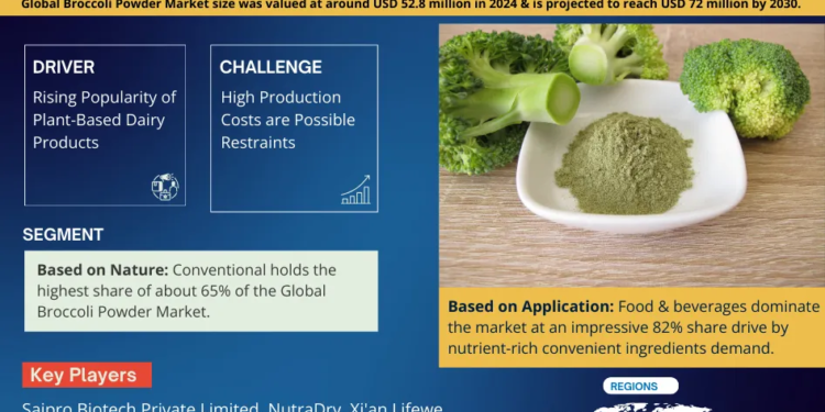 Broccoli Powder Market Breakdown By Size, Share, Growth, Trends, and Industry Analysis