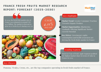 France Fresh Fruits Market Breakdown By Size, Share, Growth, Trends, and Industry Analysis