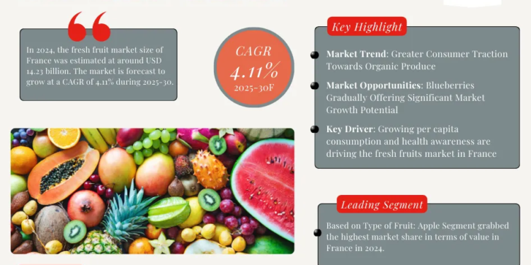France Fresh Fruits Market Breakdown By Size, Share, Growth, Trends, and Industry Analysis