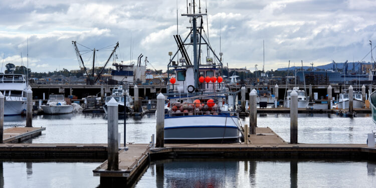 Digital Marketing Tools and Trends | Aaban Solution