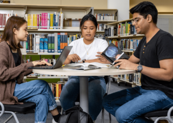 professional university assignment help