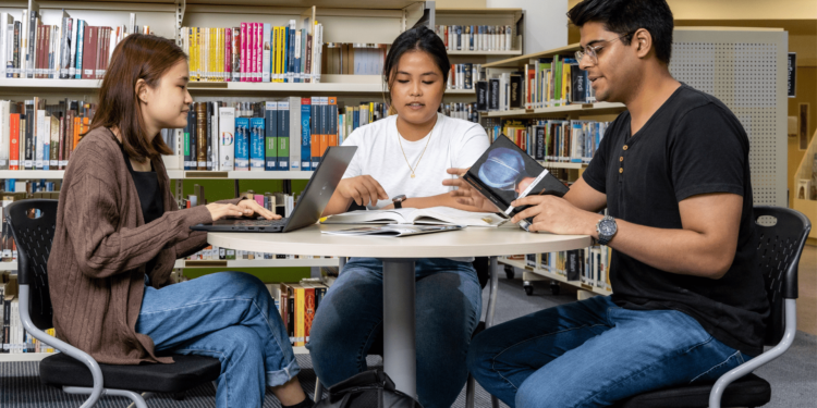 professional university assignment help