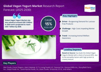 Vegan Yogurt Market Breakdown By Size, Share, Growth, Trends, and Industry Analysis