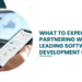 what-to-expect-when-partnering-with-a-leading-software-development-company