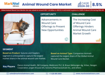 Animal Wound Care Market Expected to Grow at 8.5% CAGR | Key Trends & Forecast to 2030