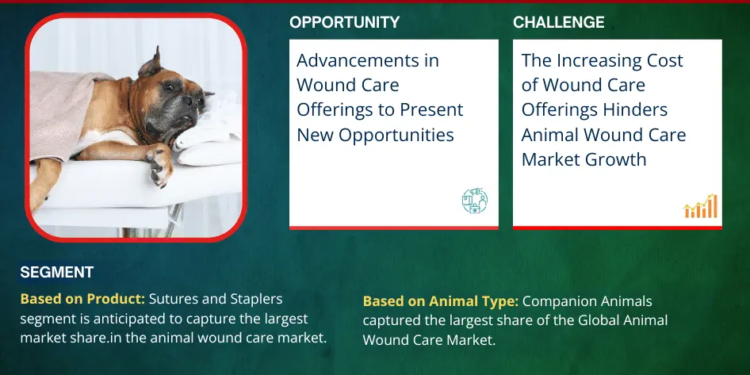 Animal Wound Care Market Expected to Grow at 8.5% CAGR | Key Trends & Forecast to 2030