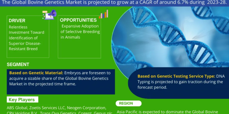 Bovine Genetics Market Expected to Grow at 6.7% CAGR | Key Trends And Forecast to 2028