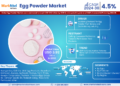 Egg Powder Market Expected to Grow at 14.46% CAGR | Key Trends & Forecast to 2030