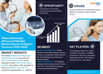 Endoscopic Ultrasound Needles Market Breakdown By Size, Share, Growth, Trends, and Industry Analysis