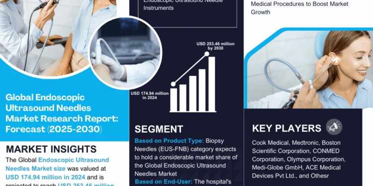 Endoscopic Ultrasound Needles Market Breakdown By Size, Share, Growth, Trends, and Industry Analysis