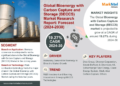 Bioenergy with Carbon Capture and Storage (BECCS) Market Poised for Strong 19.27% CAGR Through 2030 | Size & Opportunity Insights