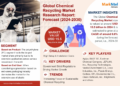 Chemical Recycling Market Poised for Strong 9.8% CAGR Through 2030 | Size & Opportunity Insights