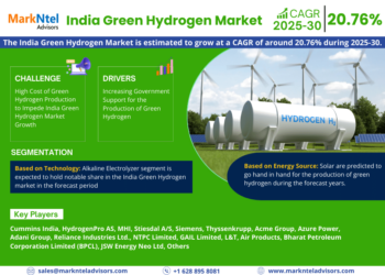 India Green Hydrogen Market Growth and Development Insight – Size, Share, Growth, and Industry Analysis