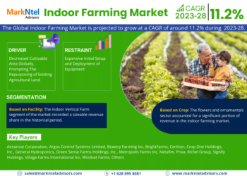 Indoor Farming Market Poised for Strong 11.2% CAGR Through 2028 | Size And Opportunity Insights