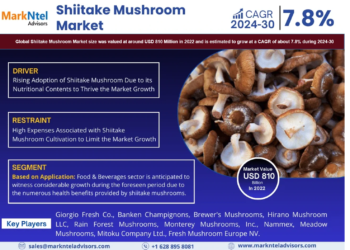 Shiitake Mushroom Market Poised for Strong 7.8% CAGR Through 2030 | Size & Opportunity Insights