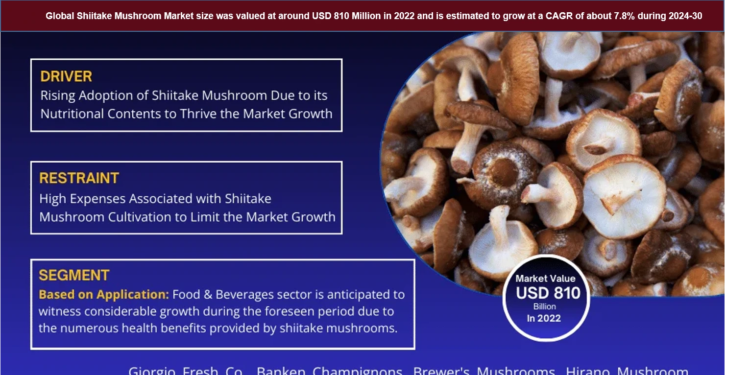 Shiitake Mushroom Market Poised for Strong 7.8% CAGR Through 2030 | Size & Opportunity Insights