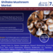 Shiitake Mushroom Market Poised for Strong 7.8% CAGR Through 2030 | Size & Opportunity Insights