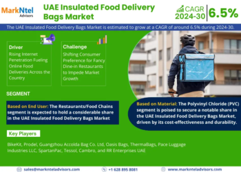 UAE Insulated Food Delivery Bags Market to Witness 6.5% CAGR Growth Amid Rising Demand and Innovation