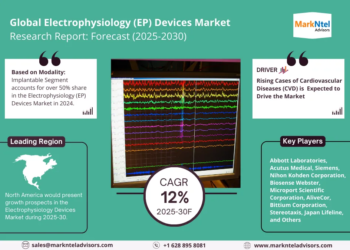 Electrophysiology (EP) Devices Market Breakdown By Size, Share, Growth, Trends, and Industry Analysis