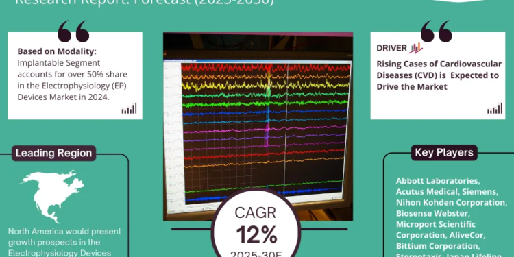 Electrophysiology (EP) Devices Market Breakdown By Size, Share, Growth, Trends, and Industry Analysis