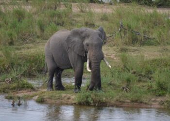 Zanzibar Tour Packages: Discover the Jewel of the Indian Ocean