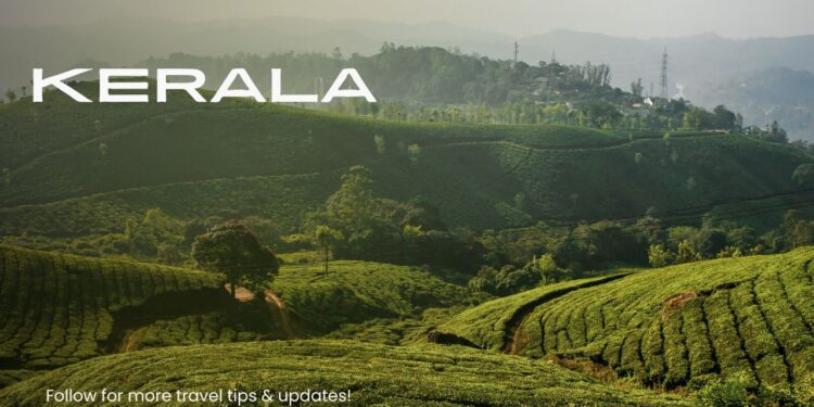 kerala holiday packages