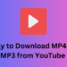 3 Way to Download MP4 and MP3 from YouTube