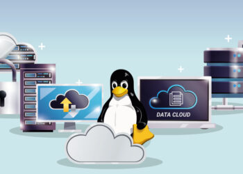 Affordable Linux Shared Hosting A Smart Choice for Small Websites