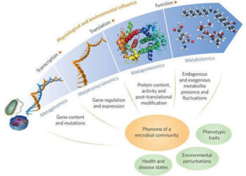 blog-Integrating-Multi-omics-Analysis-of-Microbial-Sequencing-and-Bioinformatics-pic