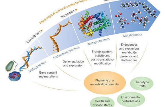 blog-Integrating-Multi-omics-Analysis-of-Microbial-Sequencing-and-Bioinformatics-pic