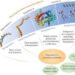 blog-Integrating-Multi-omics-Analysis-of-Microbial-Sequencing-and-Bioinformatics-pic