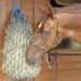 Horse Haynets Manufacturers