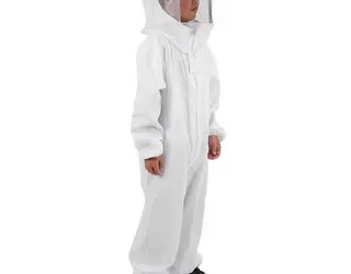 Buying Bees for Beginners: Everything You Need to Know Before You Start