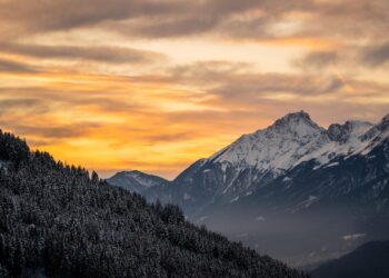 golden triangle tour with Ranthambore