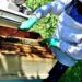 How Clean Equipment Can Reduce the Risk of Bee Diseases